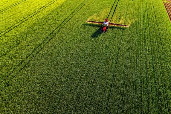 Loi Duplomb : ce qu’elle change pour les agriculteurs