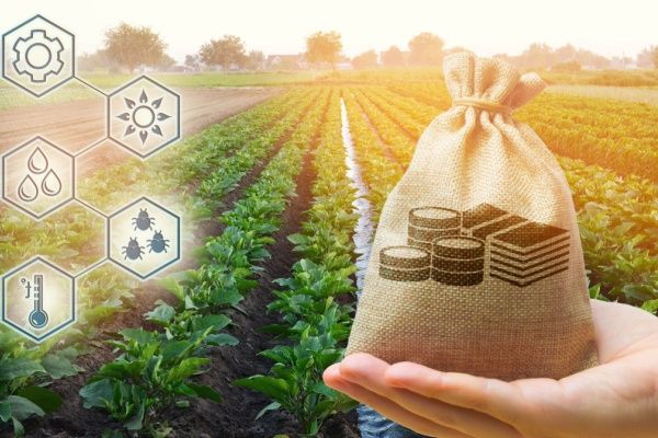 Agriculture à Saint-Pierre-et-Miquelon : une aide à l’installation possible