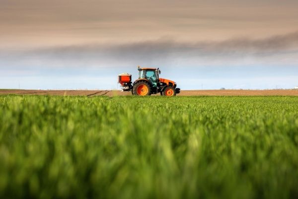 FranceAgriMer et organisations de producteurs : des sanctions possibles ?